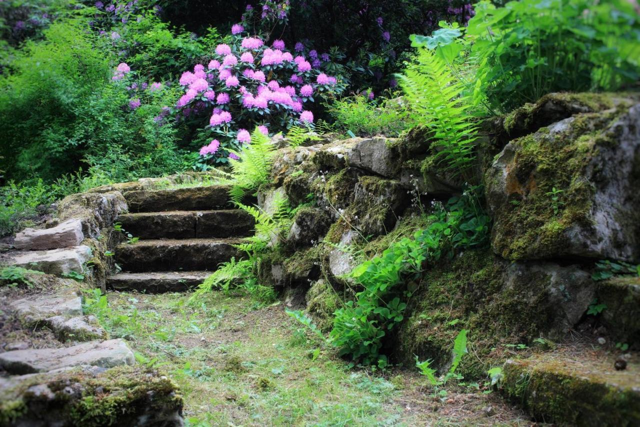Villa Brodthage, App. 3 Walkenried Bagian luar foto
